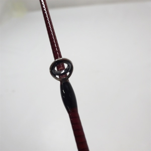 ワイルドサイドＷＳＣーＧ６６ＭＬ
